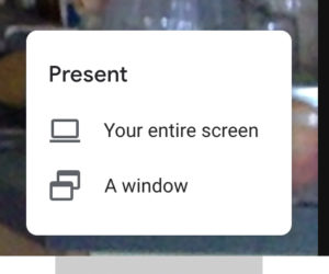 Choose Entire Screen